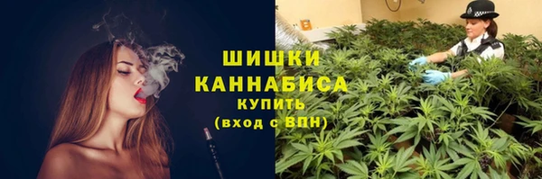 эйфоретик Ладушкин