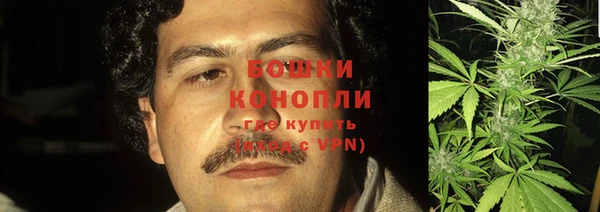 эйфоретик Ладушкин