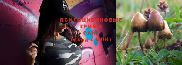 эйфоретик Ладушкин