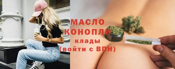 твердый Лагань