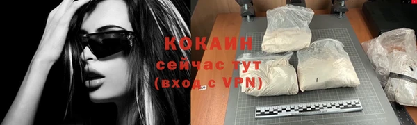 твердый Лагань