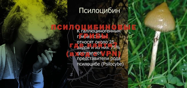 эйфоретик Ладушкин