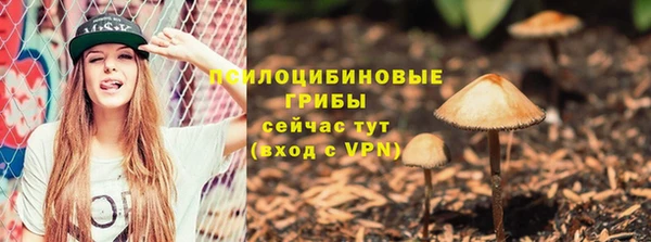 твердый Лагань