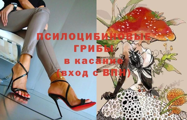 амф Кулебаки