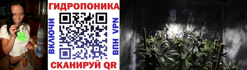 Конопля марихуана  Шацк 
